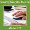 Computer and Data Security Basics for the CPA